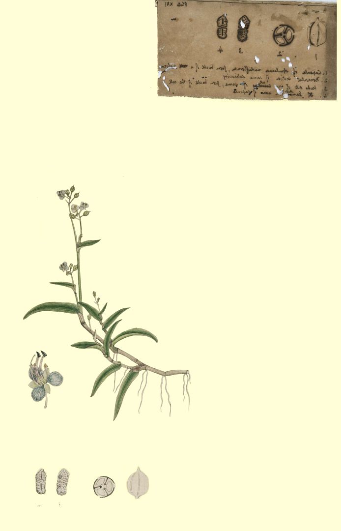 no HD illustration available (m3)