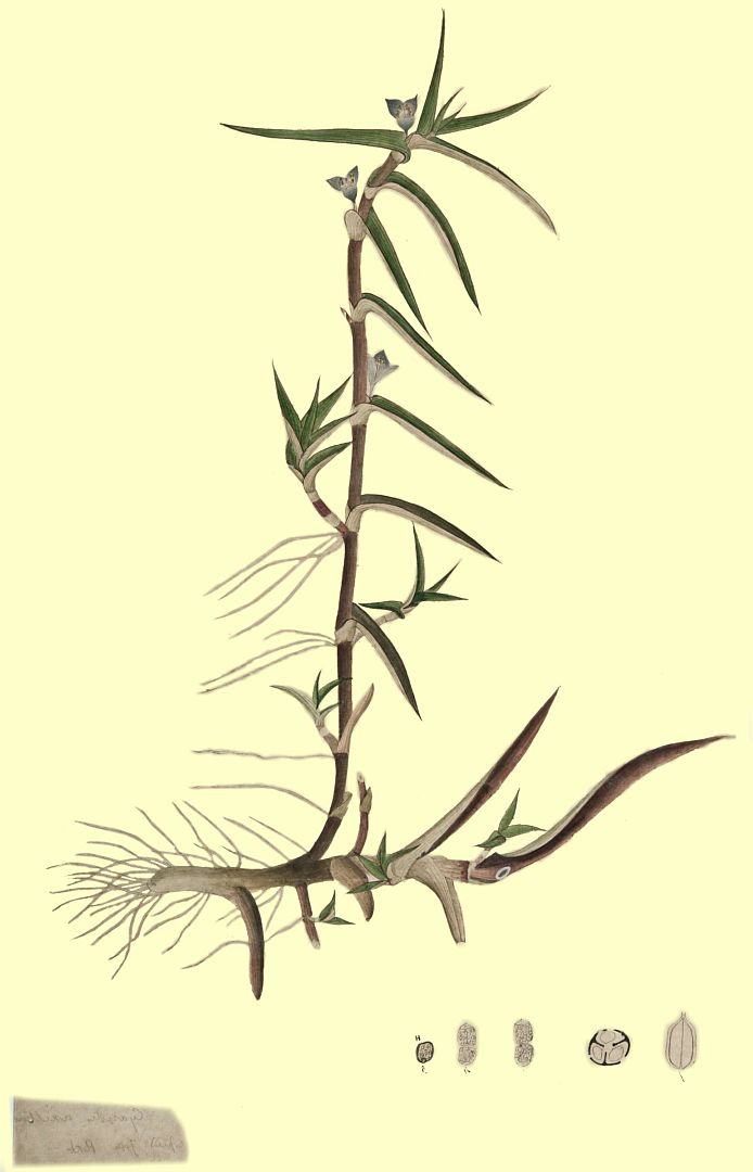no HD illustration available (m3)