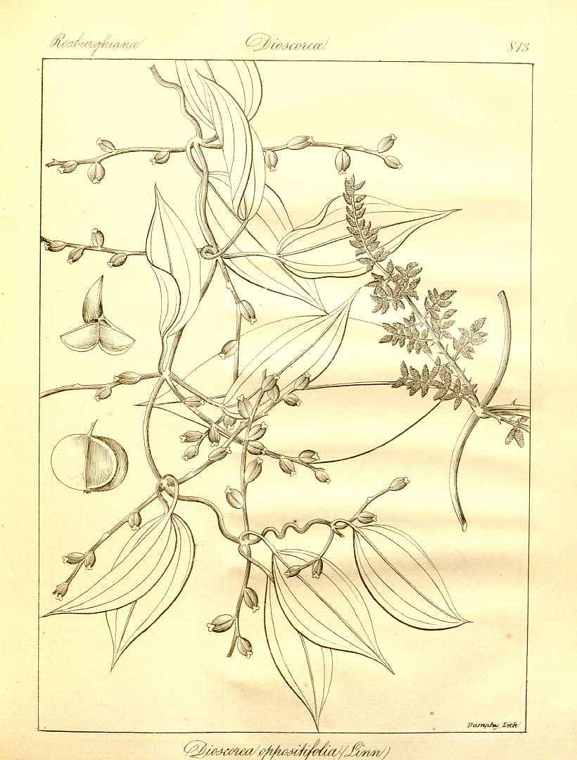 no HD illustration available (m3)