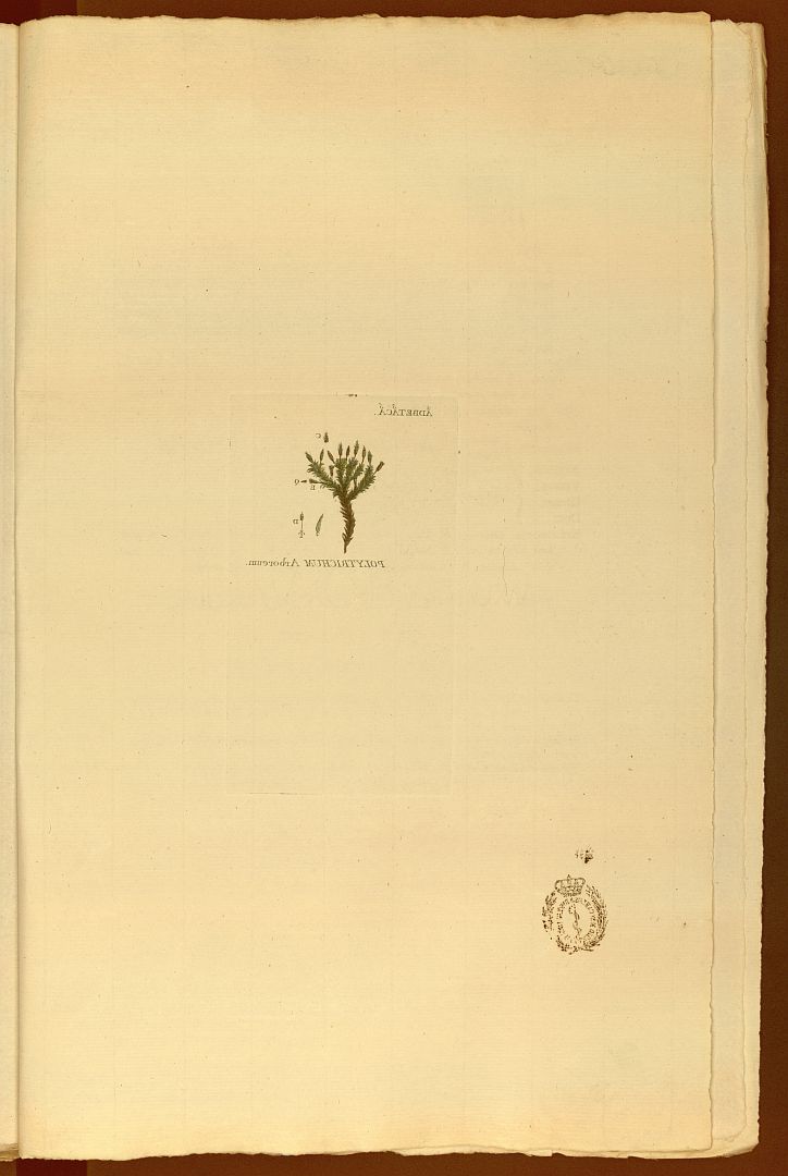 no HD illustration available (m3)