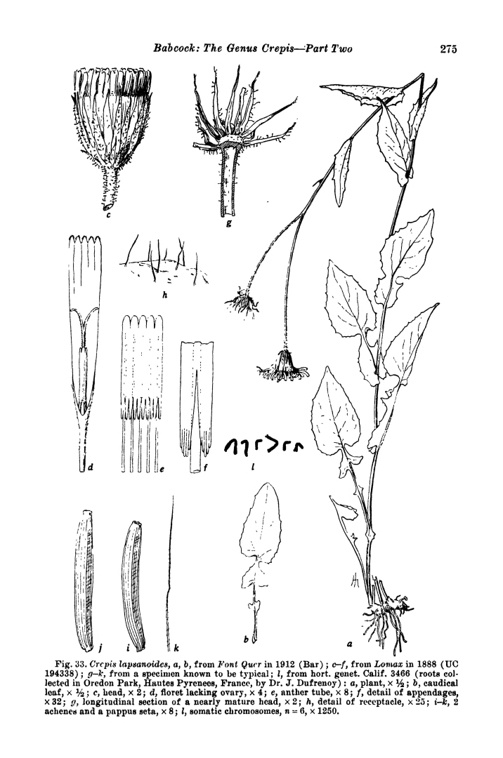 no HD illustration available (m3)