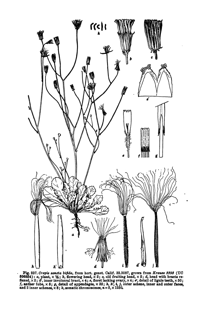 no HD illustration available (m3)