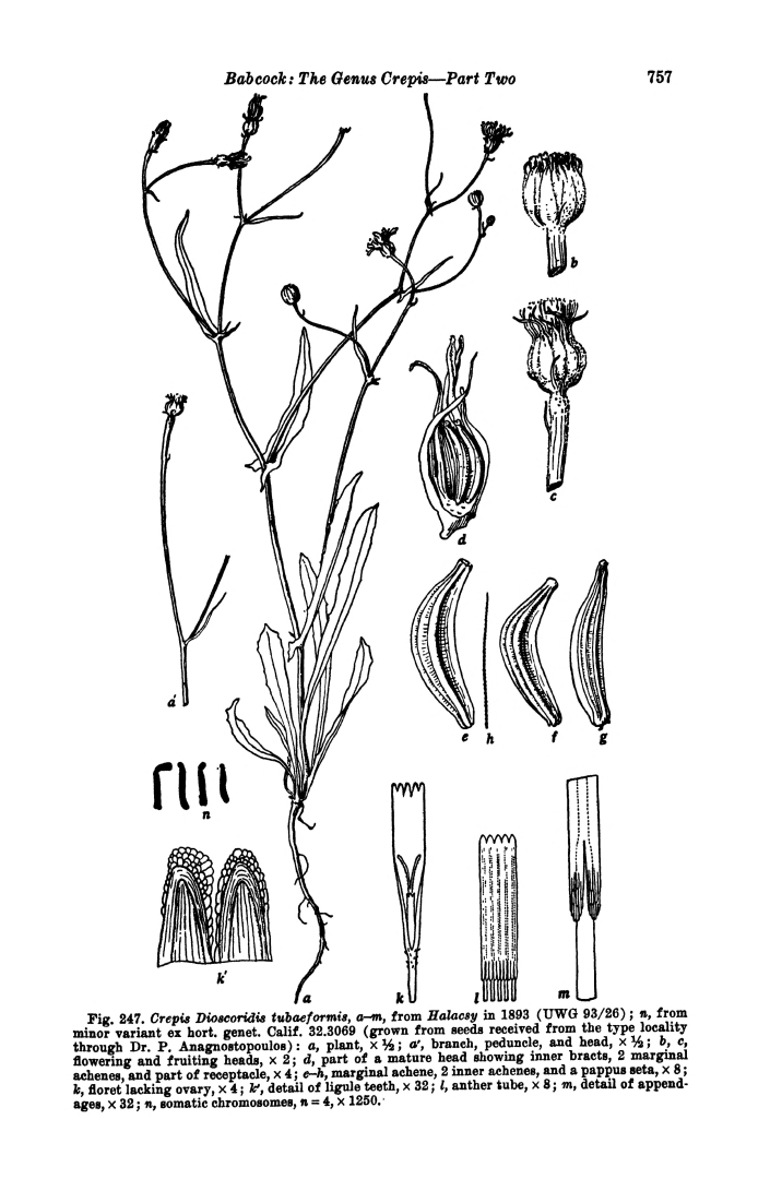 no HD illustration available (m5)