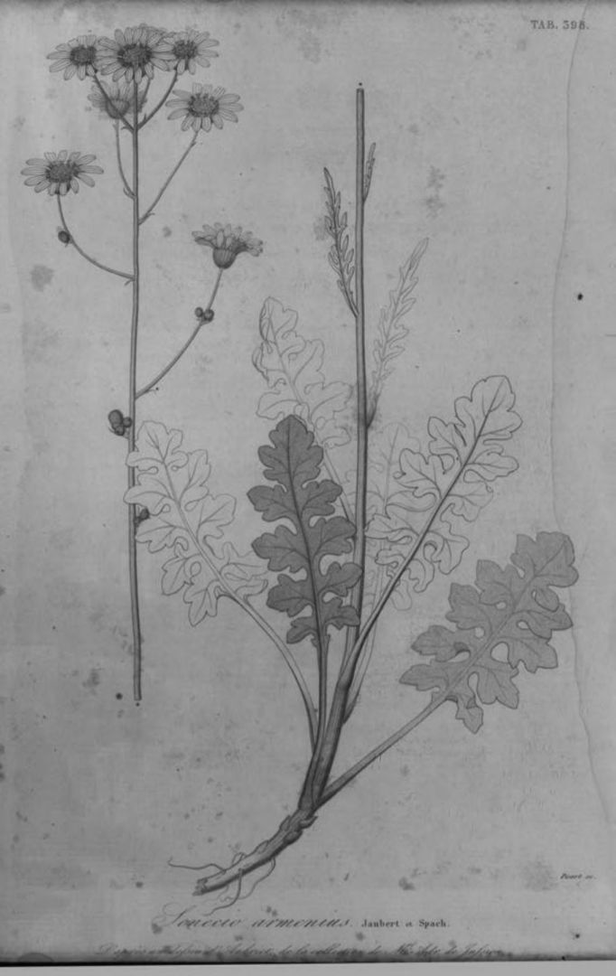 no HD illustration available (m1)