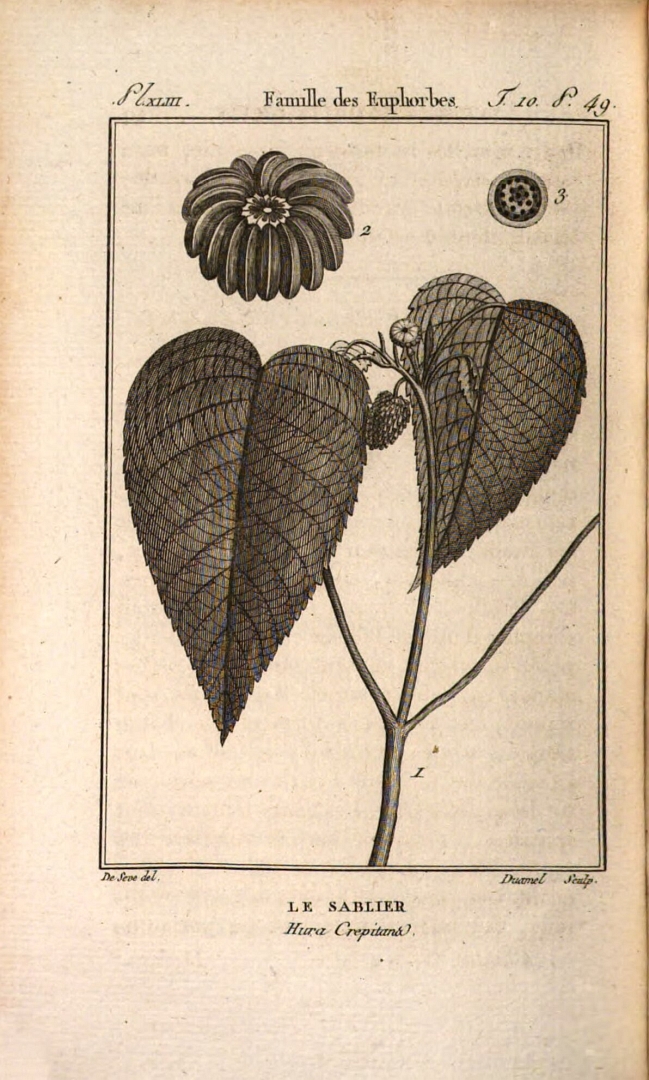 no HD illustration available (m3)
