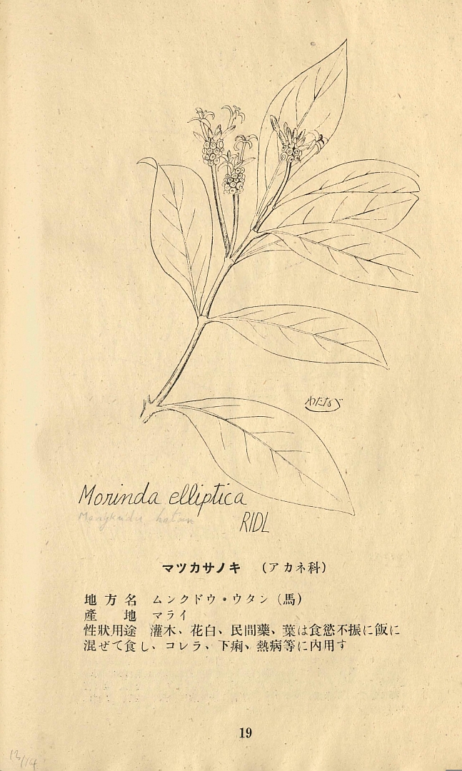 no HD illustration available (m1)