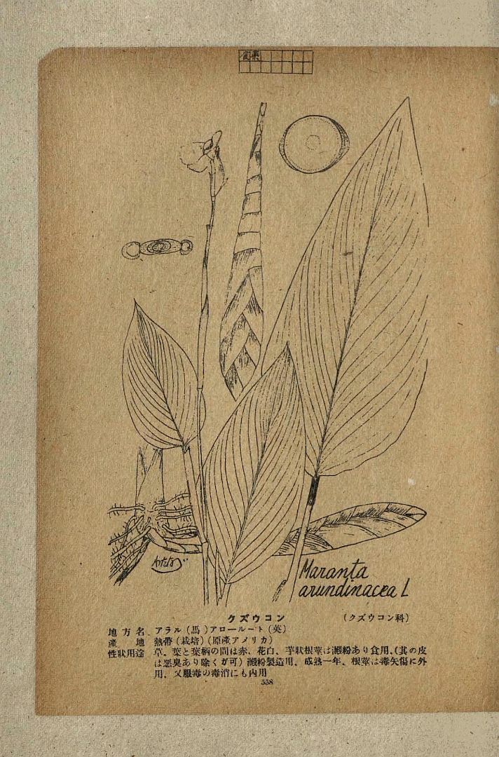 no HD illustration available (m1)