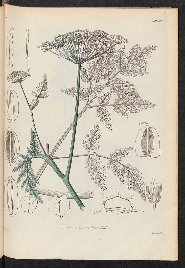 no HD illustration available (m3)