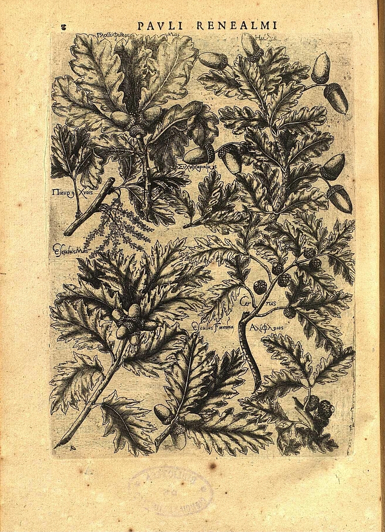 no HD illustration available (m3)
