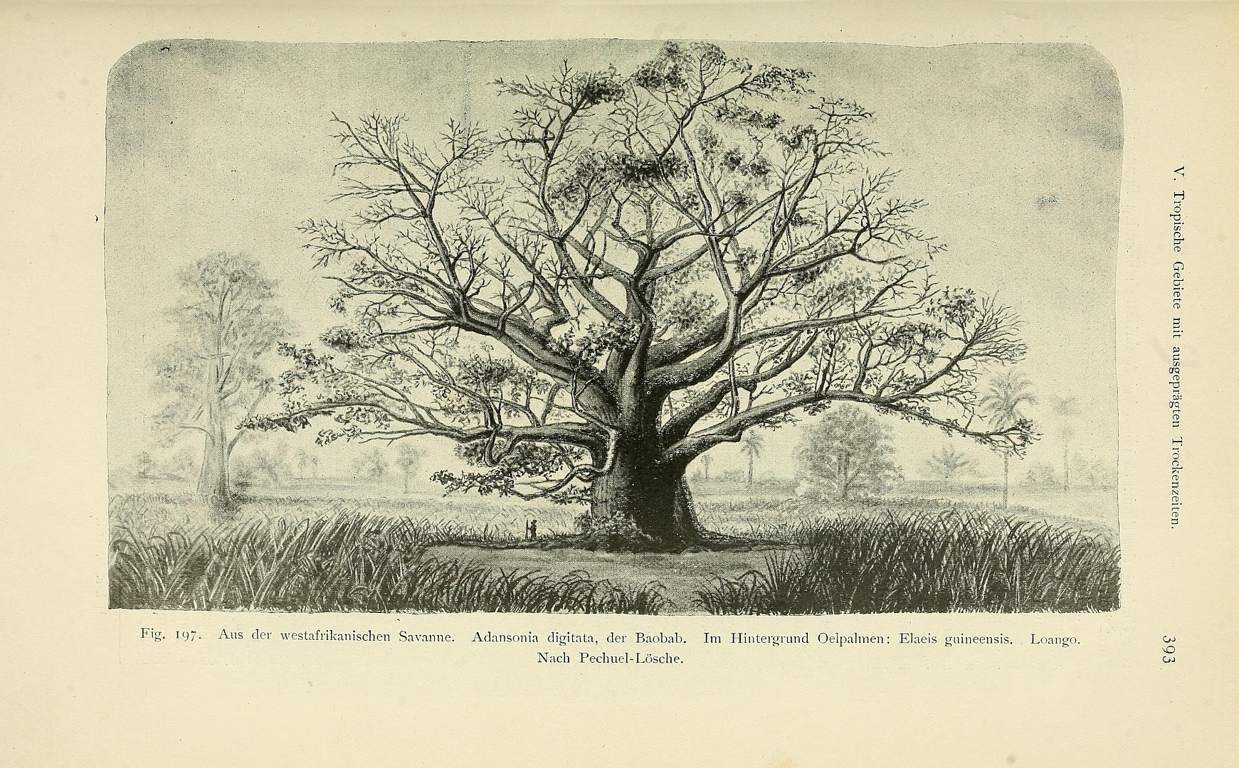 no HD illustration available (m2)
