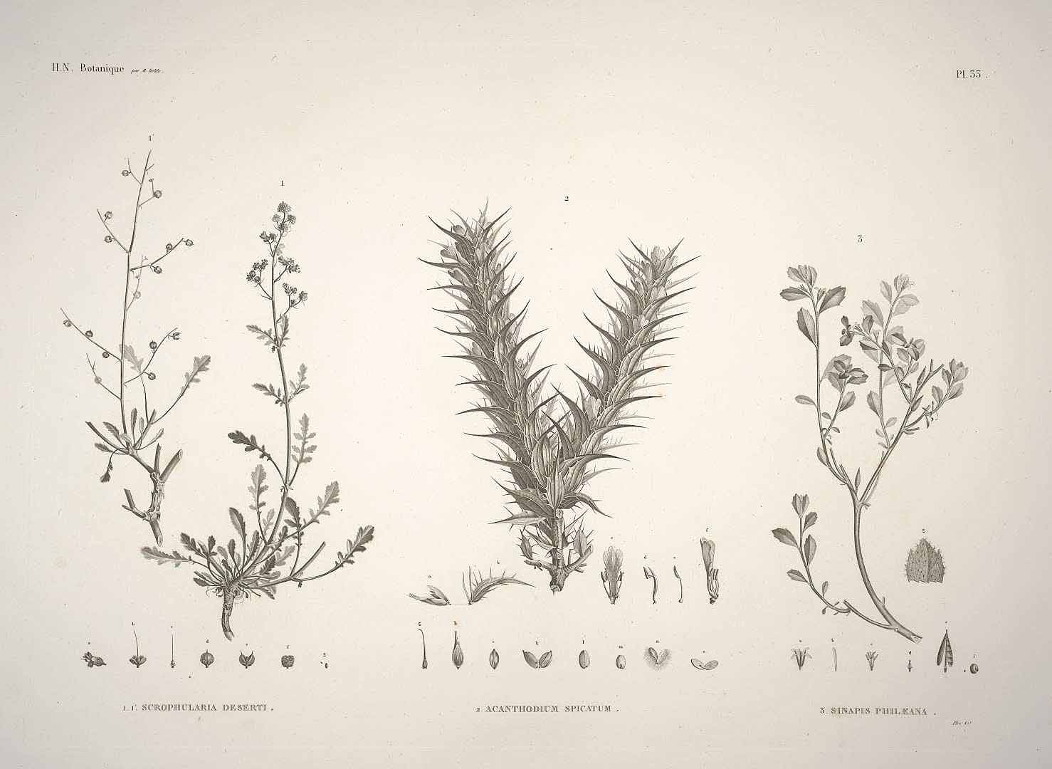 no HD illustration available (m2)