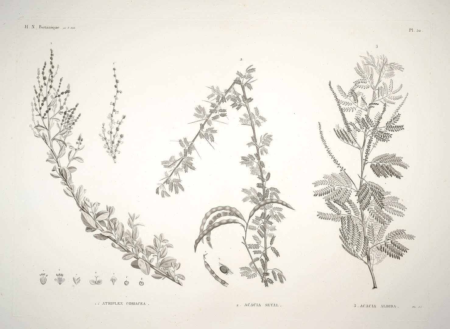 no HD illustration available (m2)