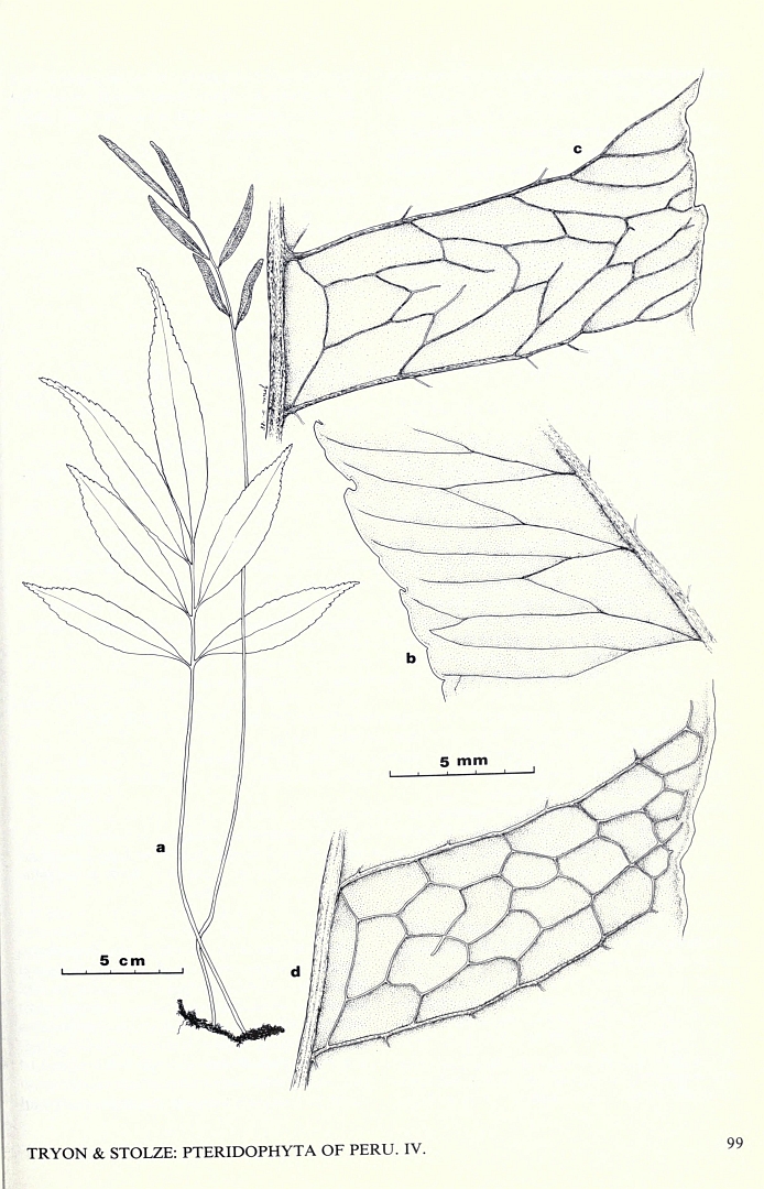 no HD illustration available (m3)