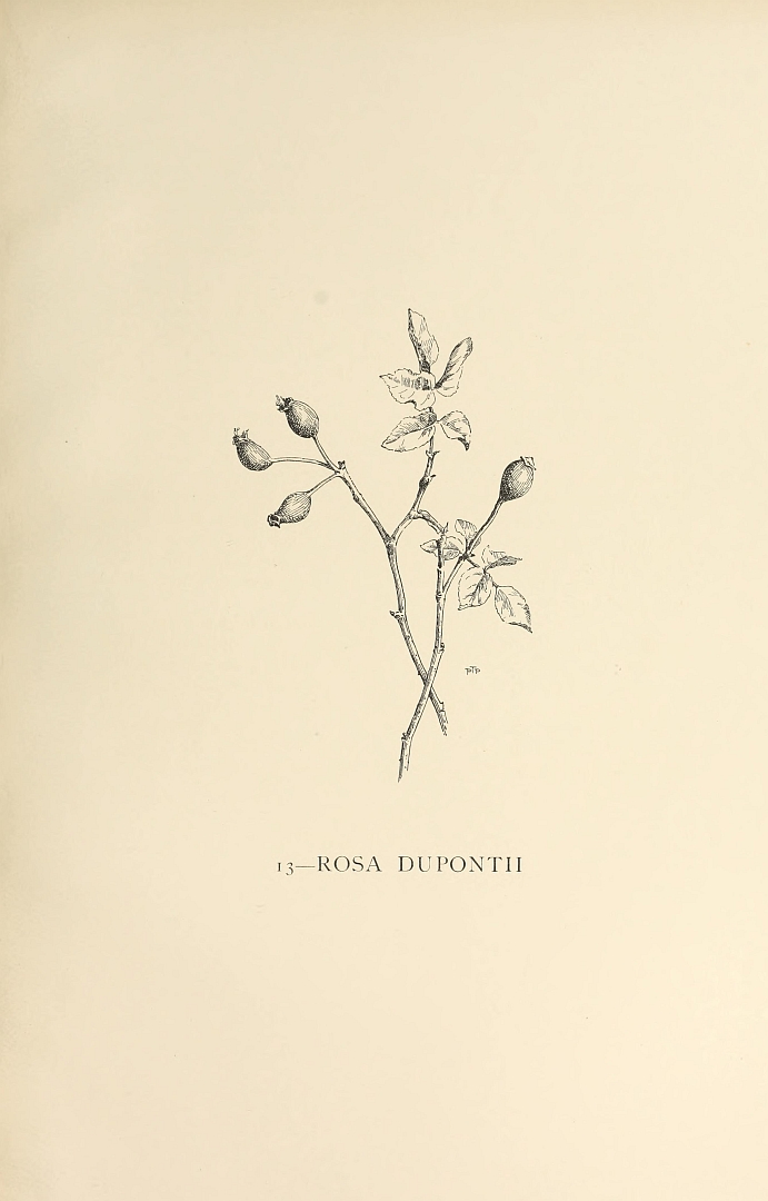 no HD illustration available (m3)