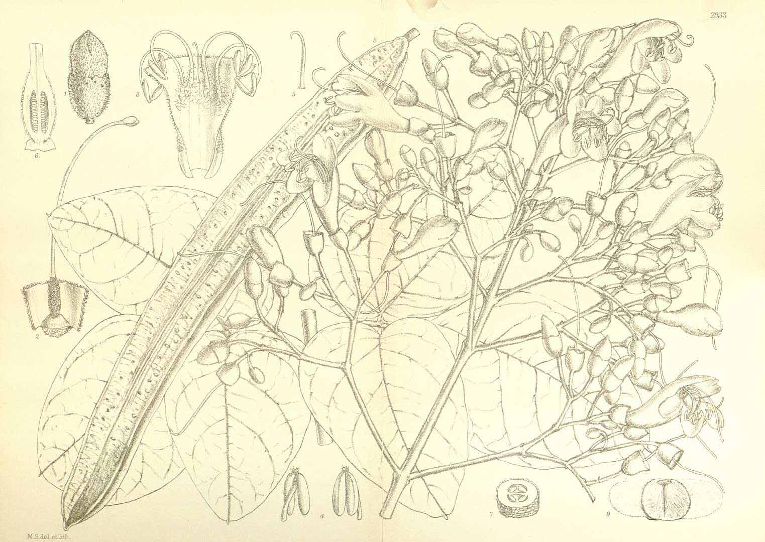 no HD illustration available (m5)