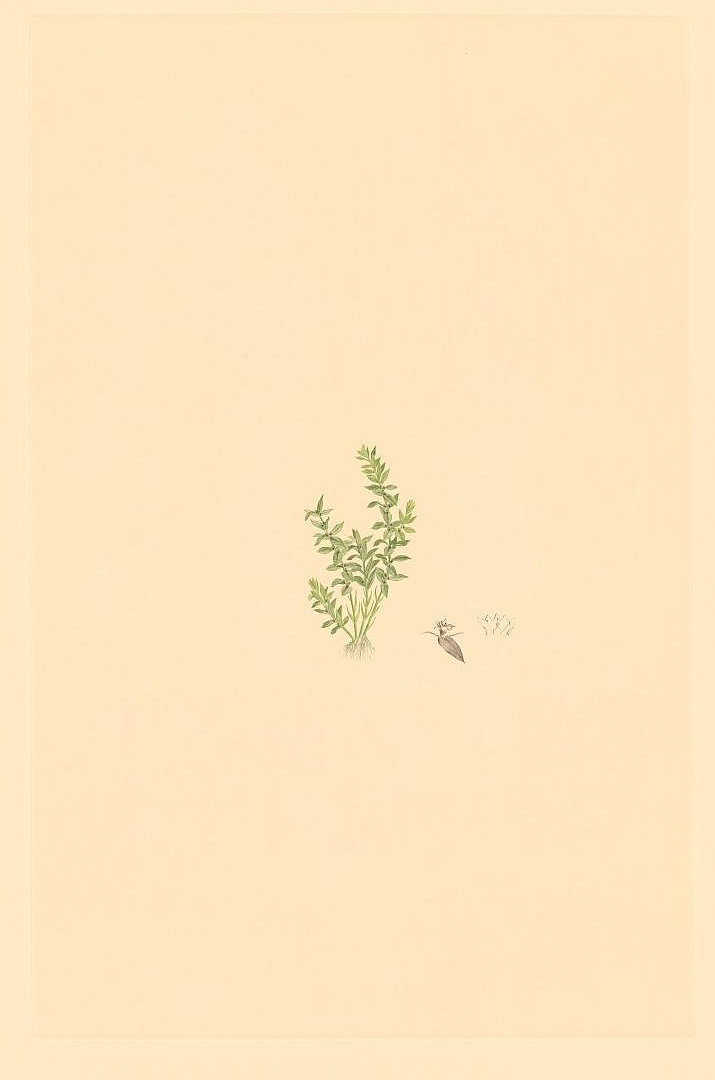 no HD illustration available (m3)