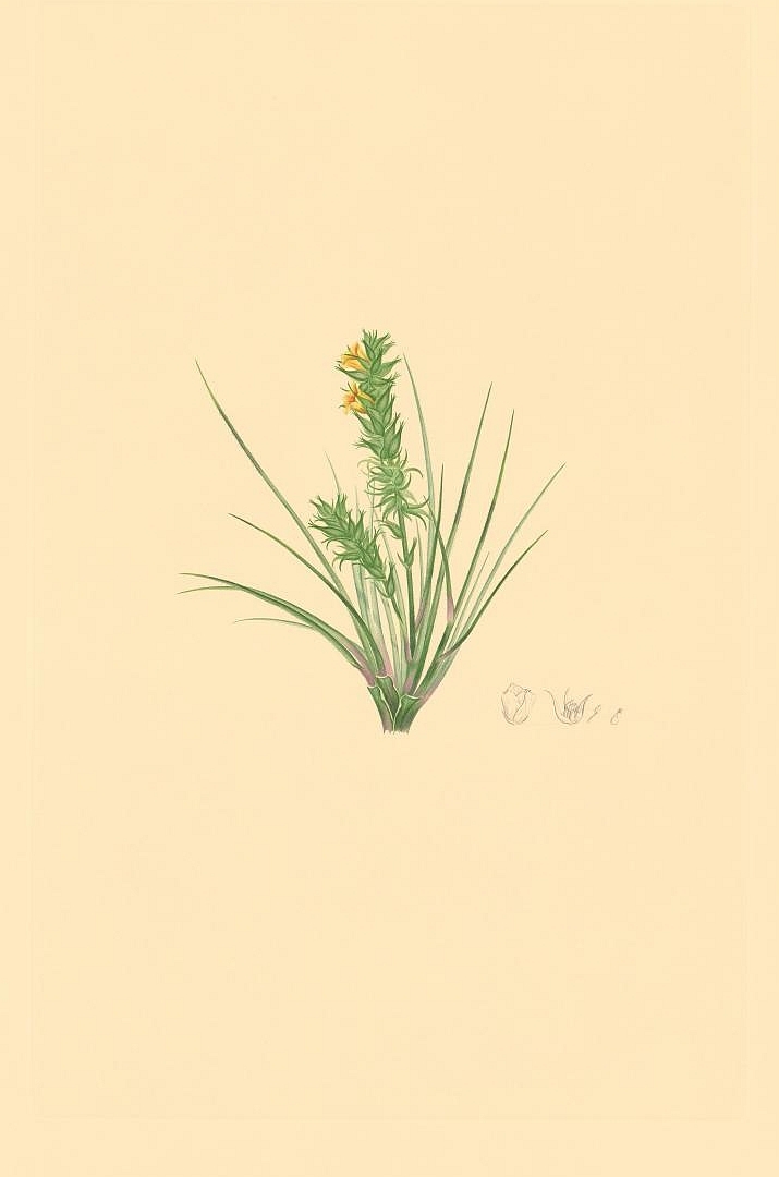 no HD illustration available (m3)
