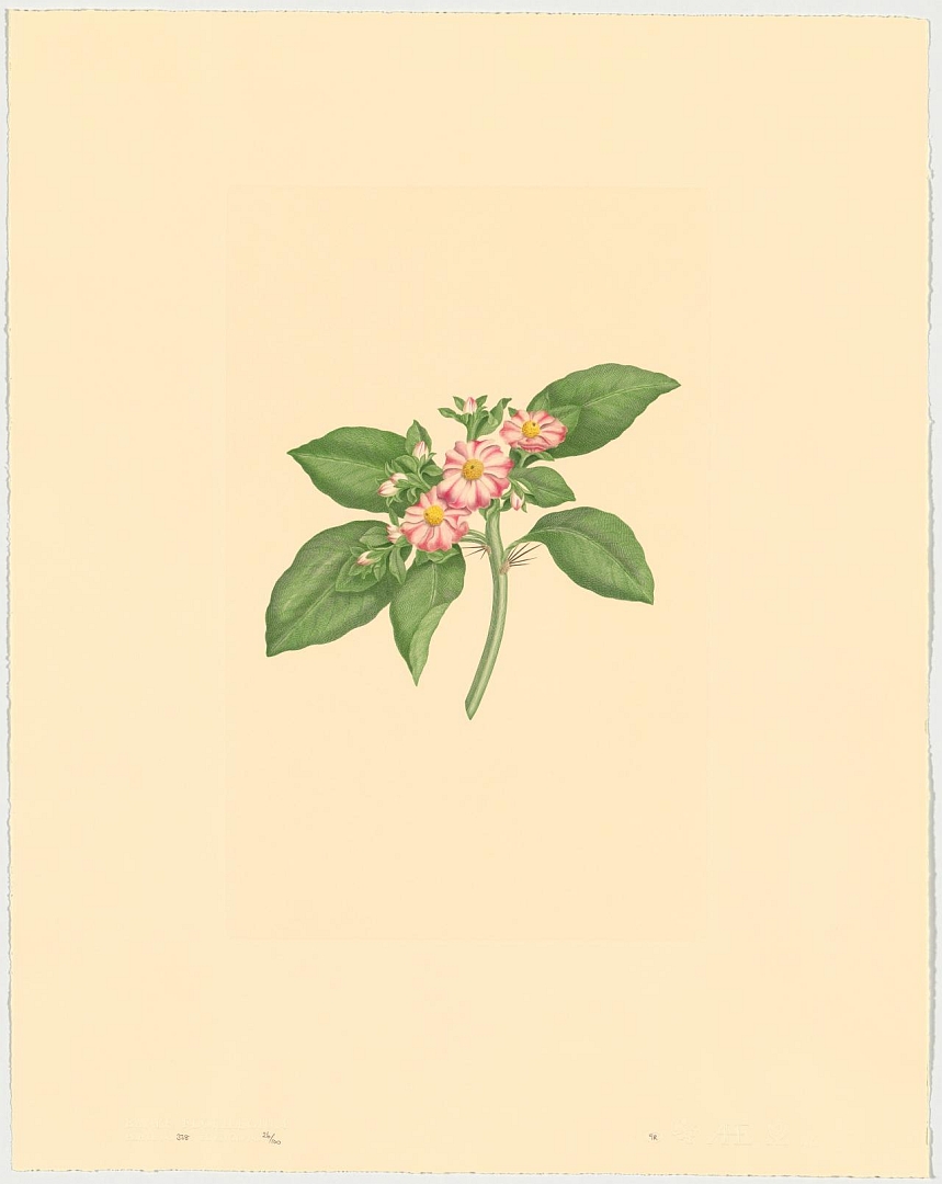 no HD illustration available (m1)