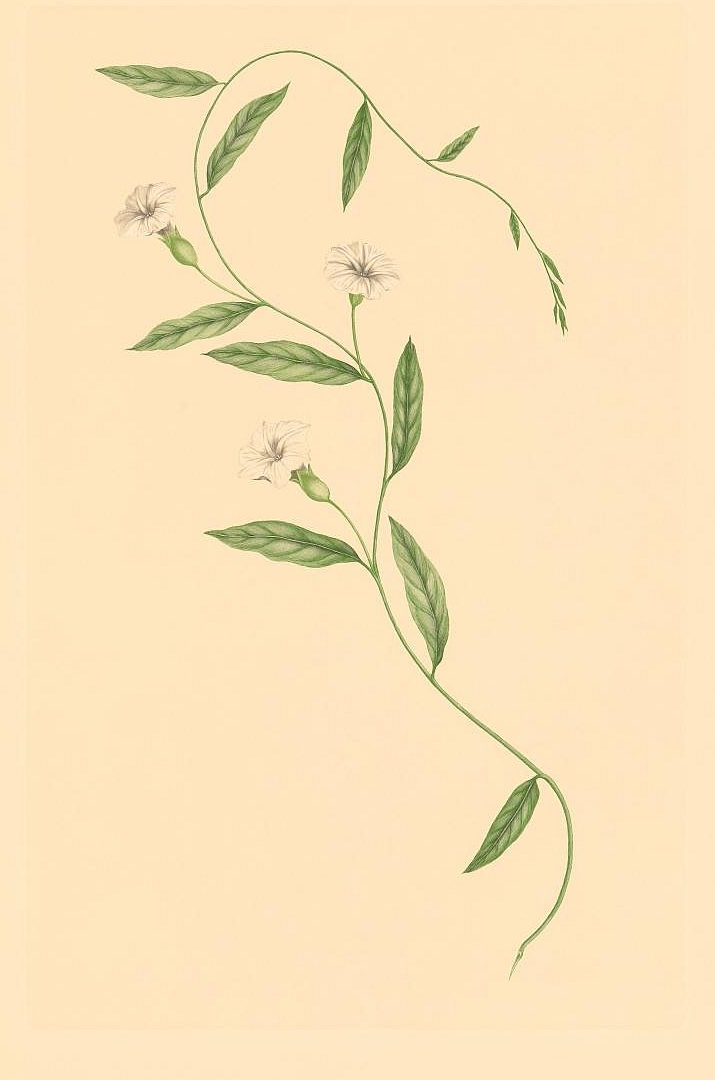 no HD illustration available (m3)