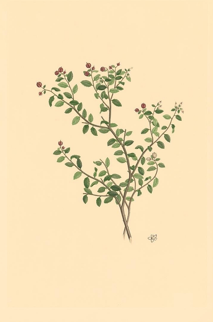 no HD illustration available (m3)