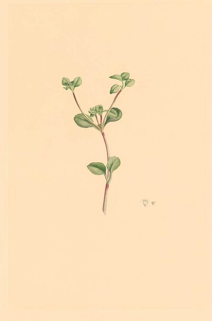no HD illustration available (m3)