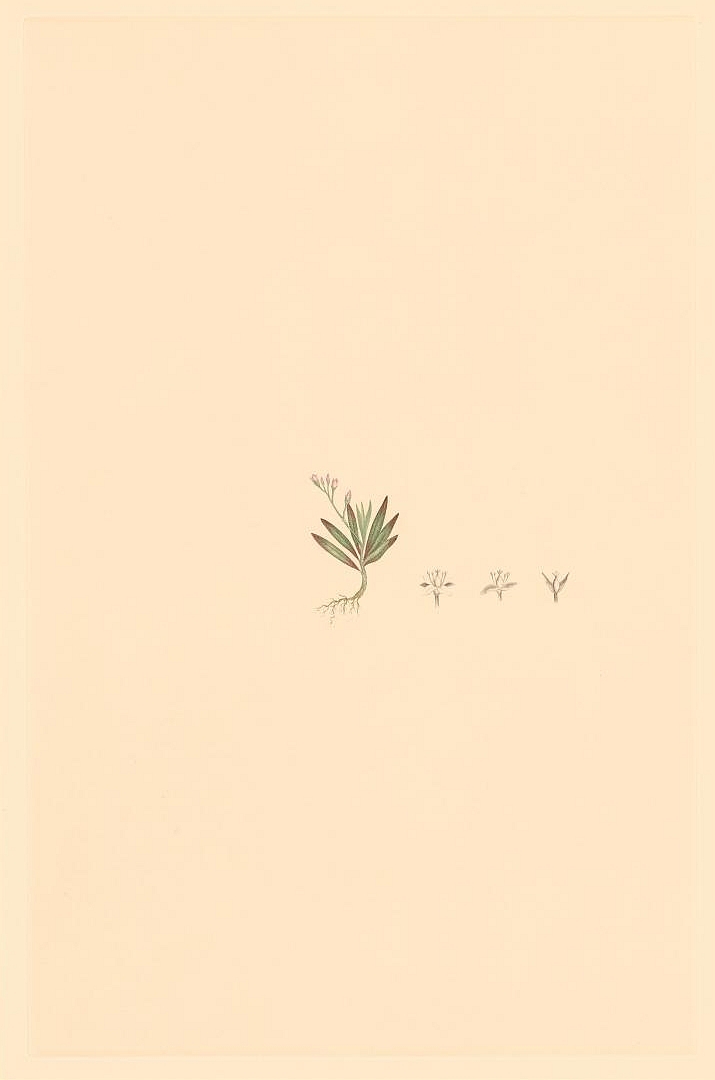 no HD illustration available (m3)