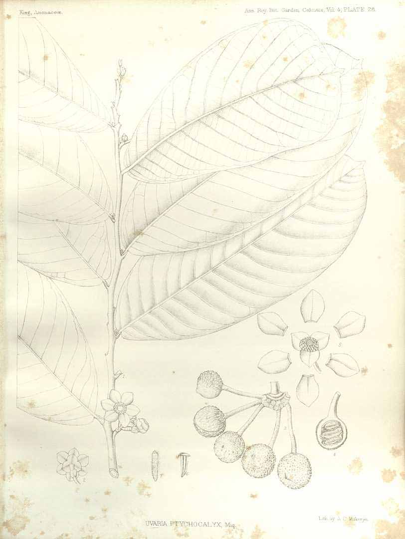 no HD illustration available (m3)