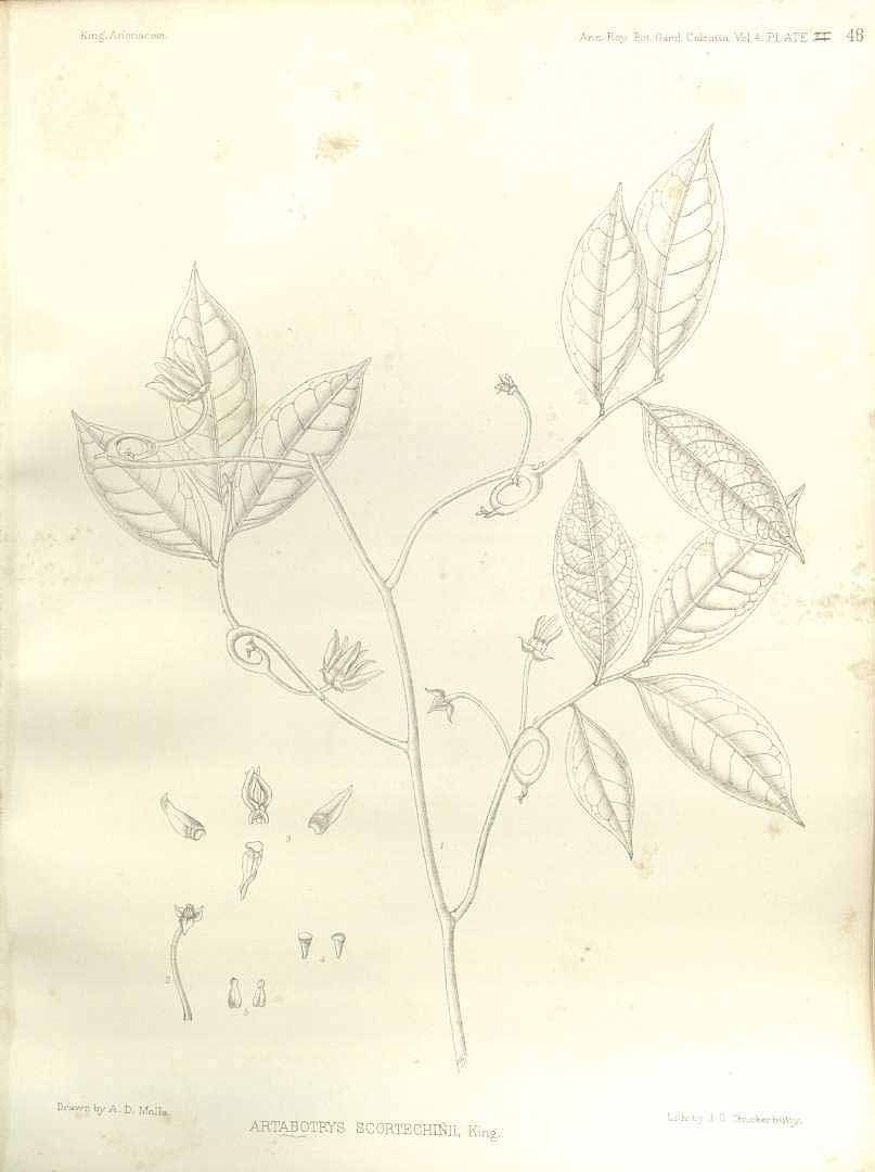 no HD illustration available (m3)