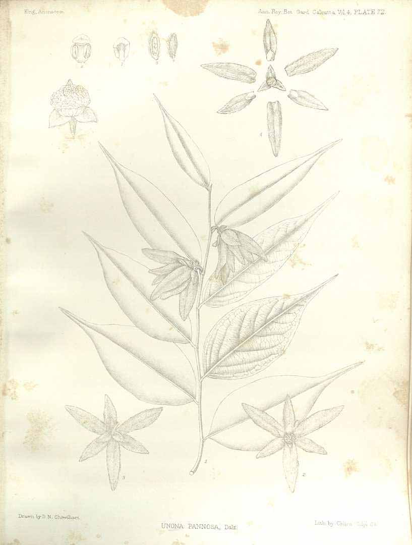 no HD illustration available (m3)