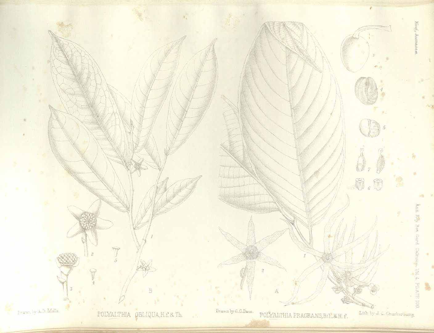 no HD illustration available (m5)