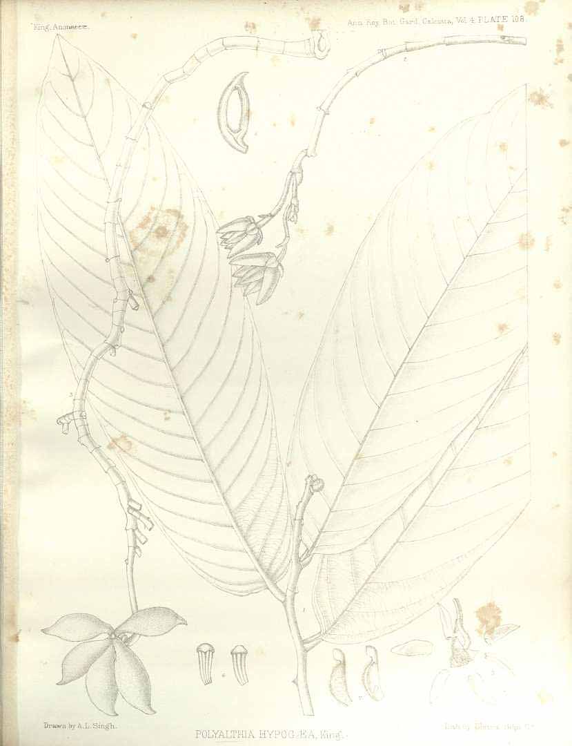 no HD illustration available (m3)