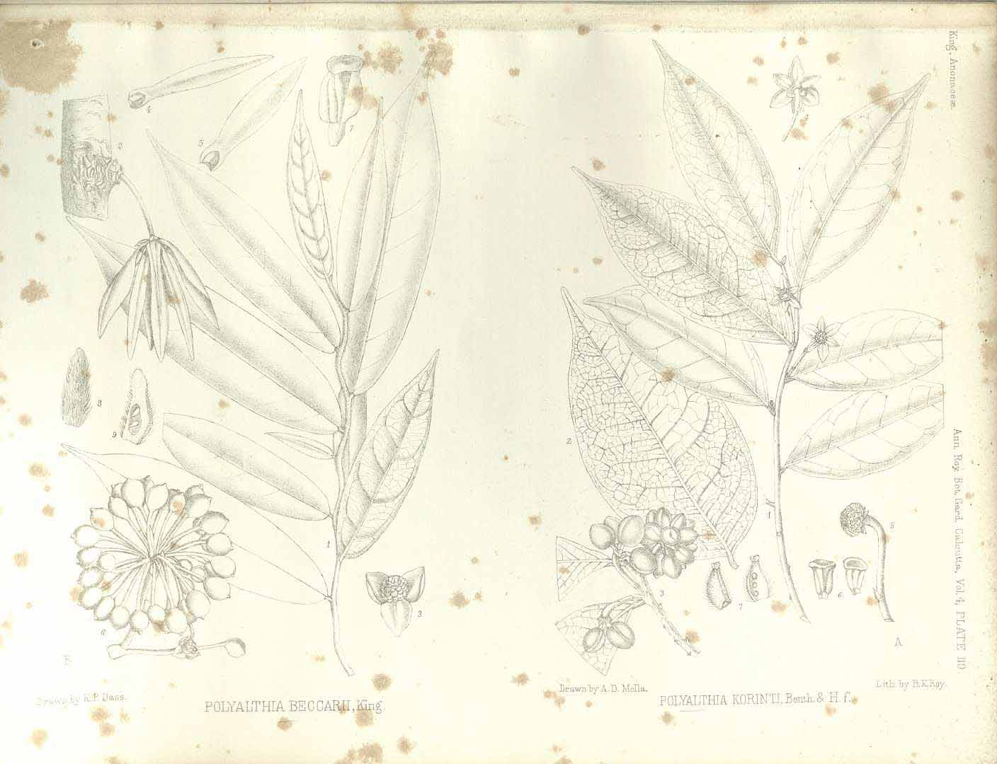 no HD illustration available (m5)