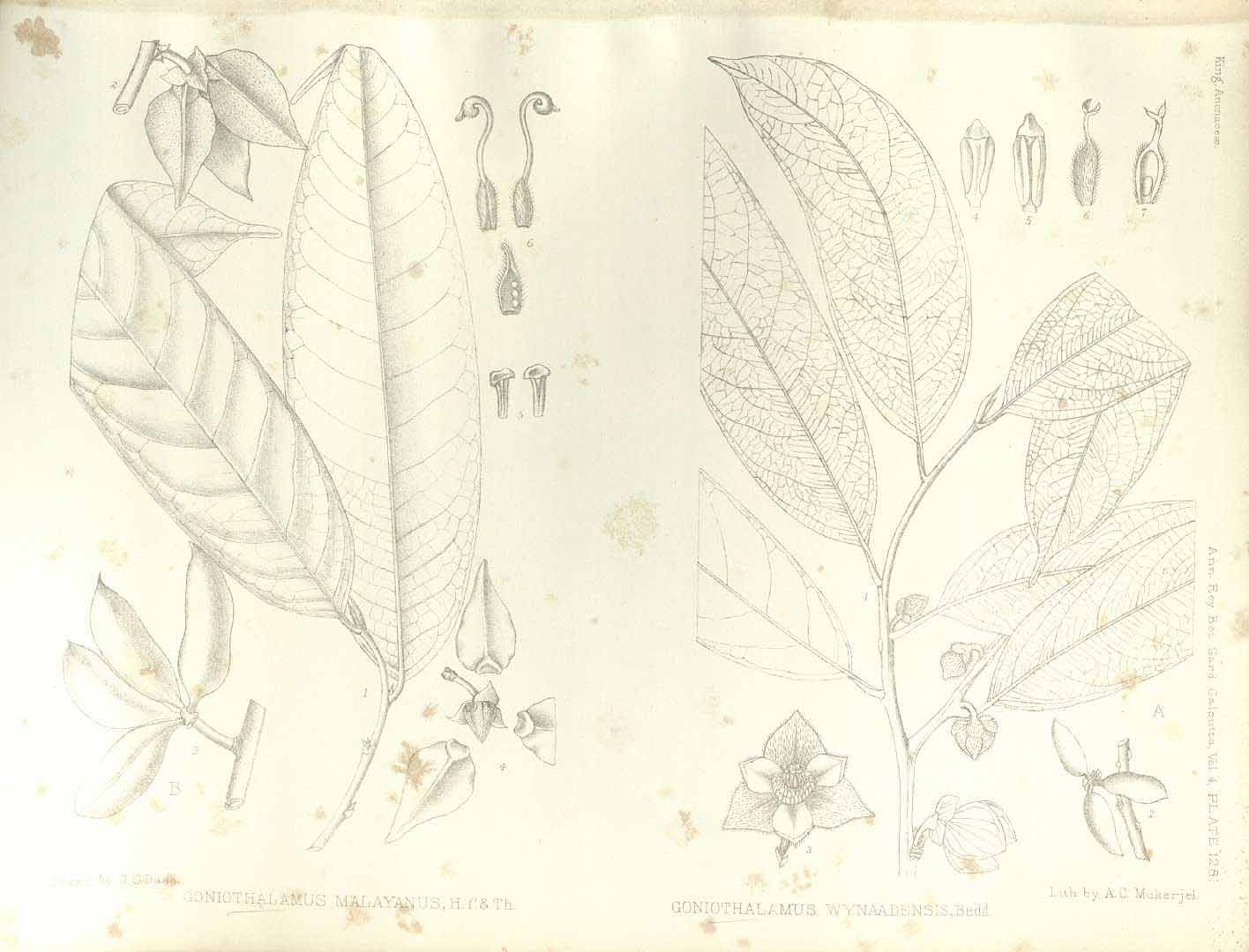 no HD illustration available (m5)