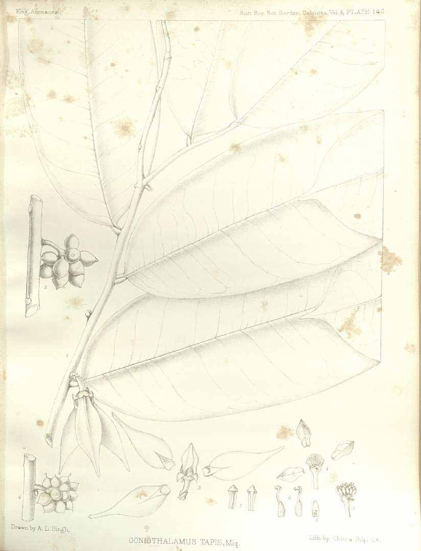 no HD illustration available (m3)