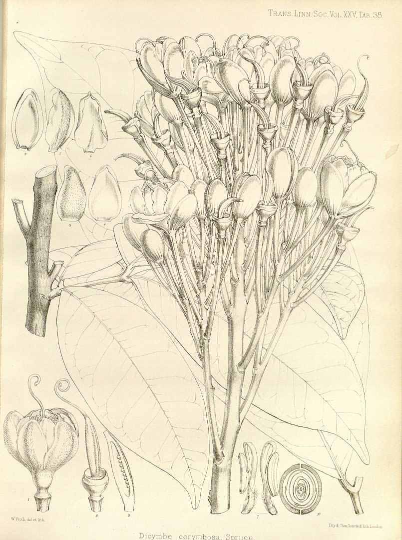 no HD illustration available (m3)