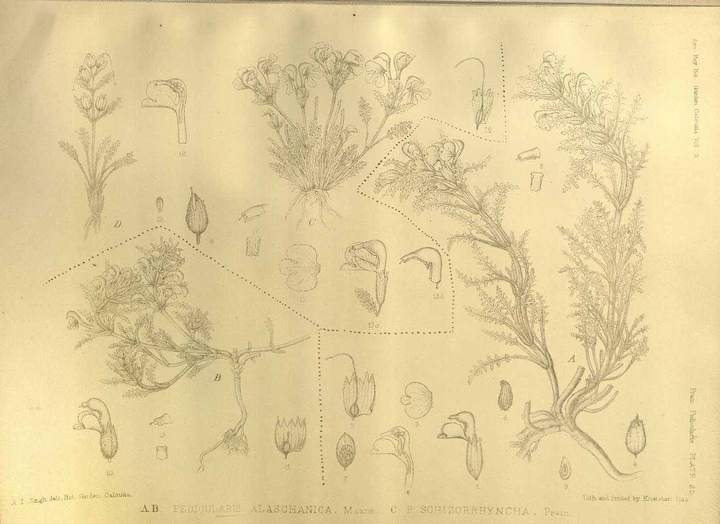 no HD illustration available (m5)