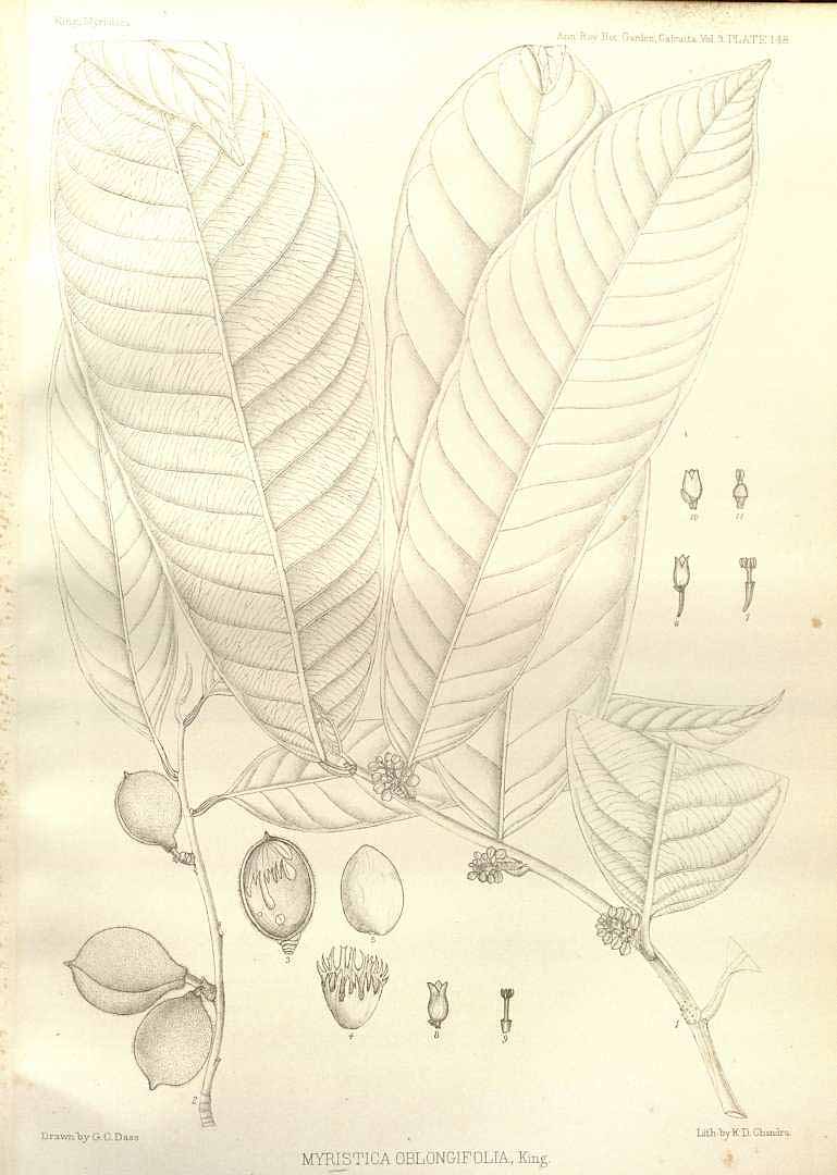 no HD illustration available (m3)