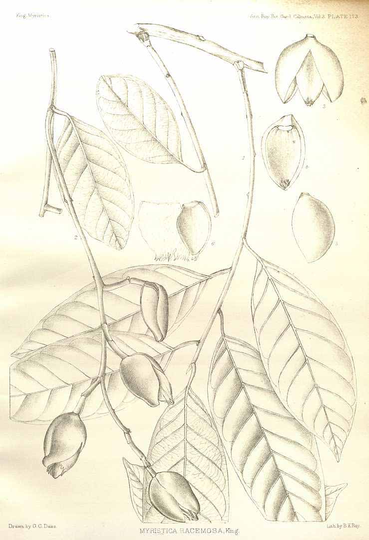 no HD illustration available (m3)