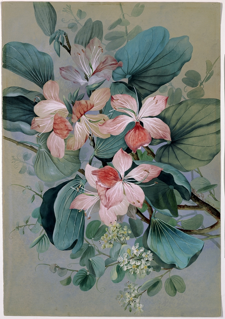 no HD illustration available (m3)