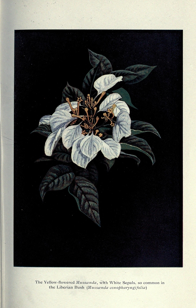 no HD illustration available (m3)