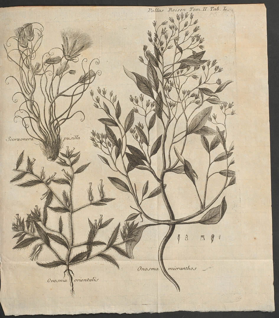 no HD illustration available (m3)