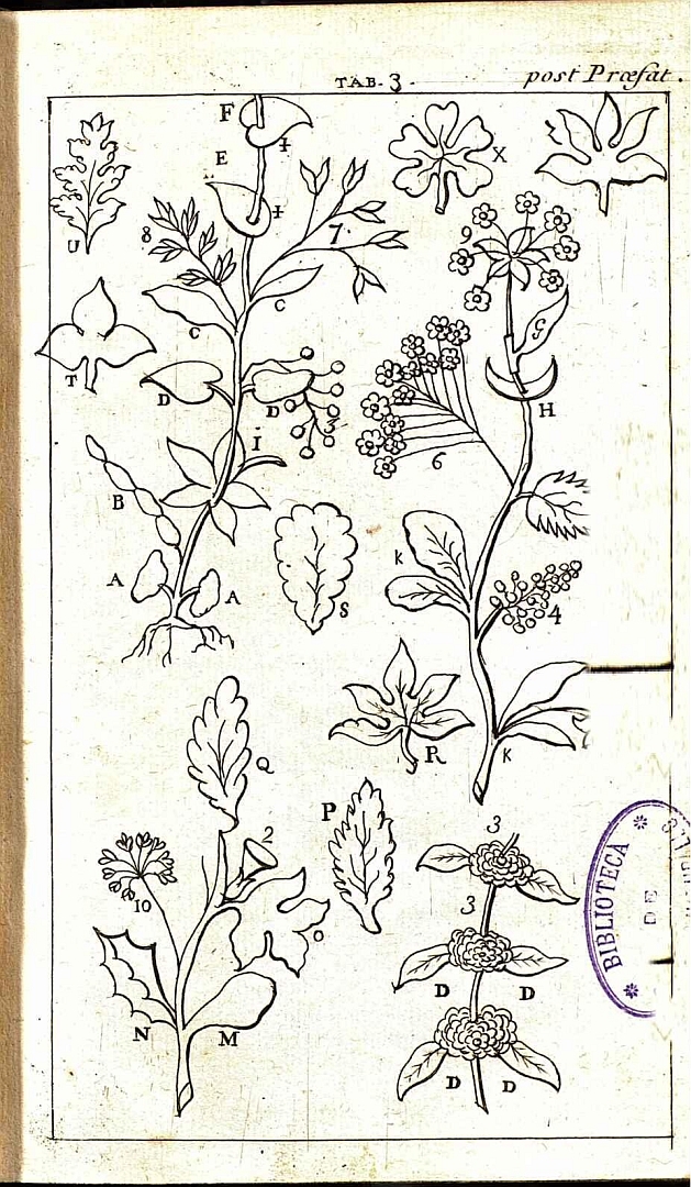 no HD illustration available (m5)