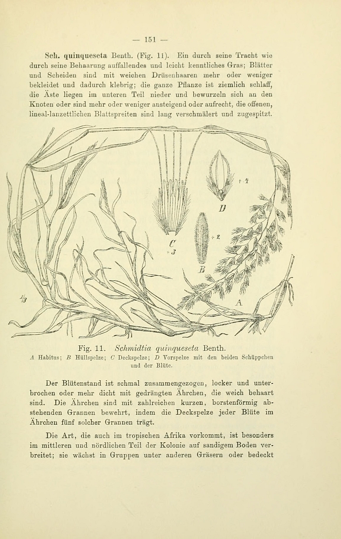 no HD illustration available (m3)