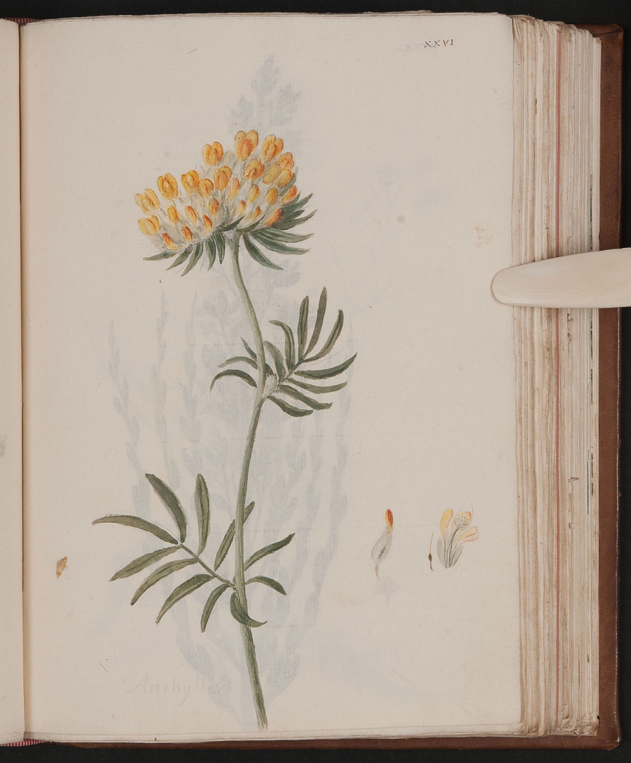 no HD illustration available (m3)