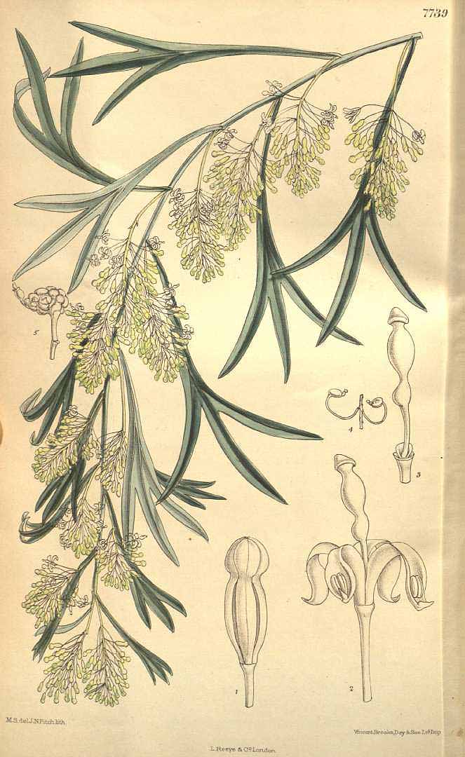 no HD illustration available (m3)