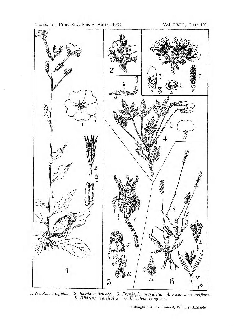 no HD illustration available (m3)
