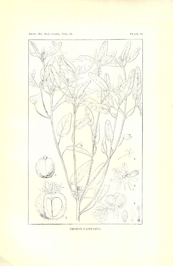 no HD illustration available (m3)