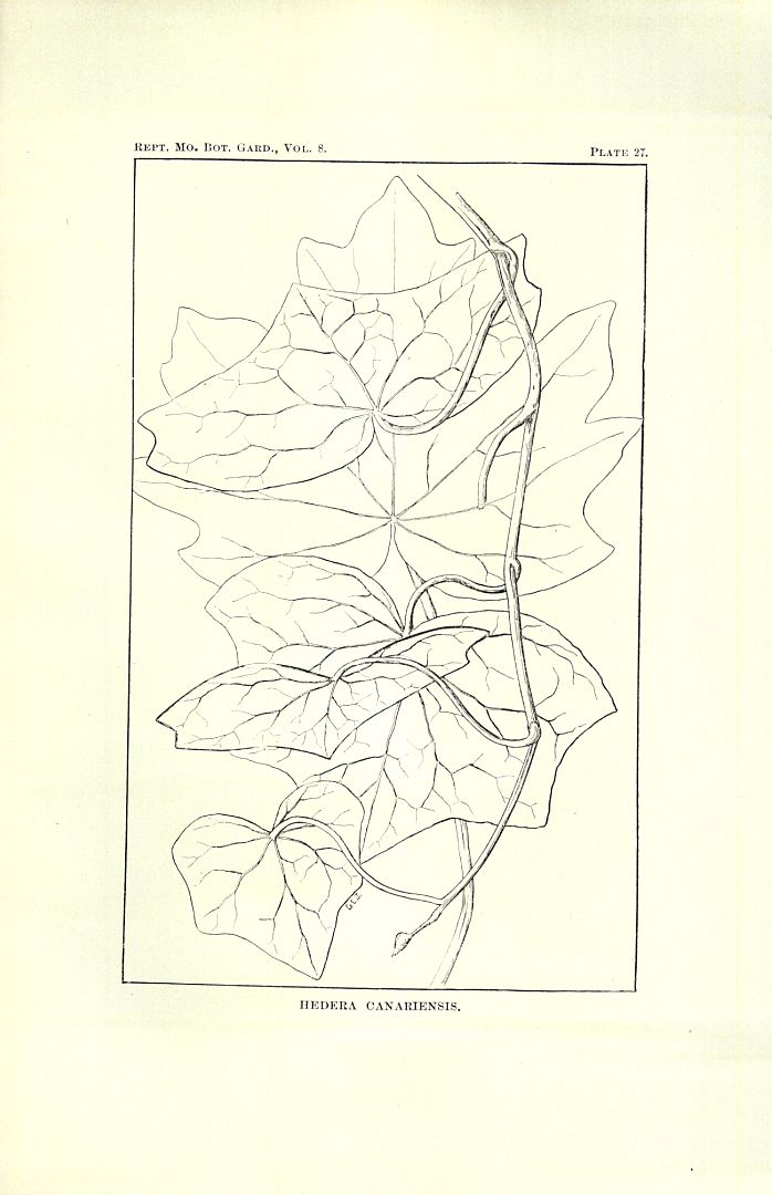 no HD illustration available (m1)