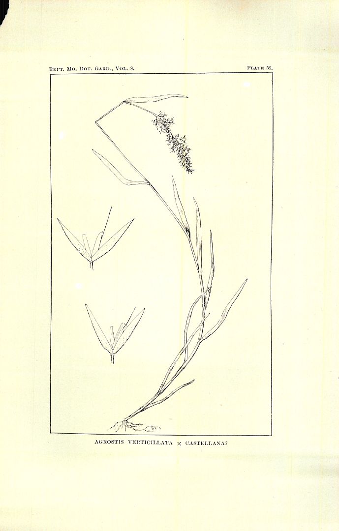 no HD illustration available (m3)