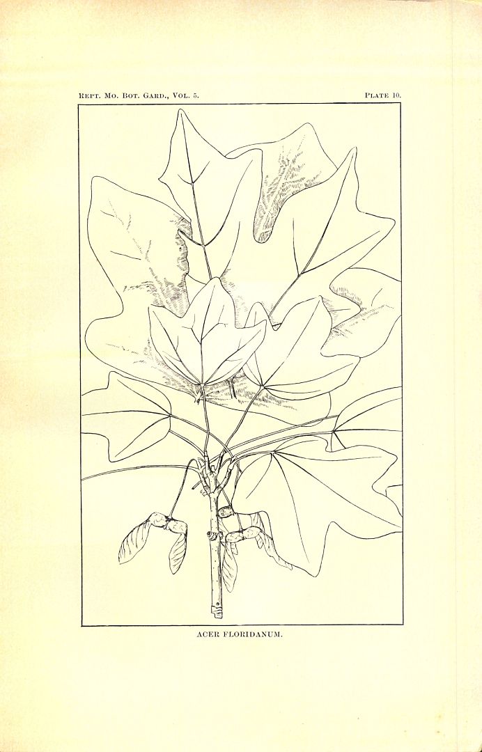 no HD illustration available (m1)
